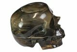 Realistic, Carved Petrified Wood Skull #116517-3